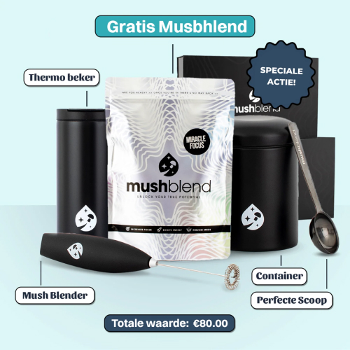 Take advantage of a 20% discount on the entire MushBlend store by clicking on our partner link: