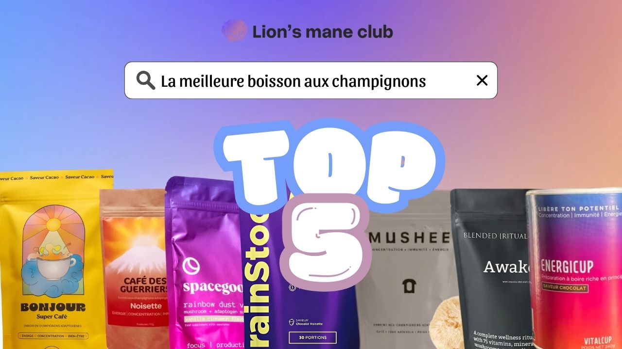 TOP 5 des boissons aux champignons Lion's Mane